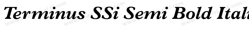 Terminus SSi Semi Bold Italic字体转换